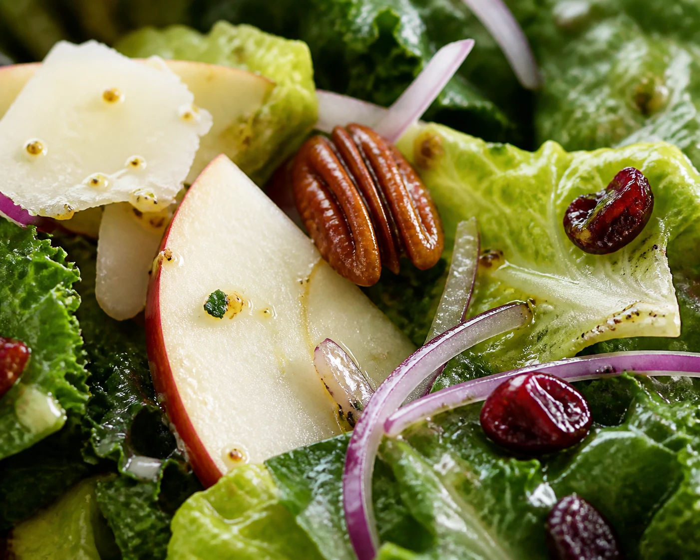 A close salad bite shows crisp greens, apple, sharp cheddar, toasted pecan, red onion, and dried cranberries.